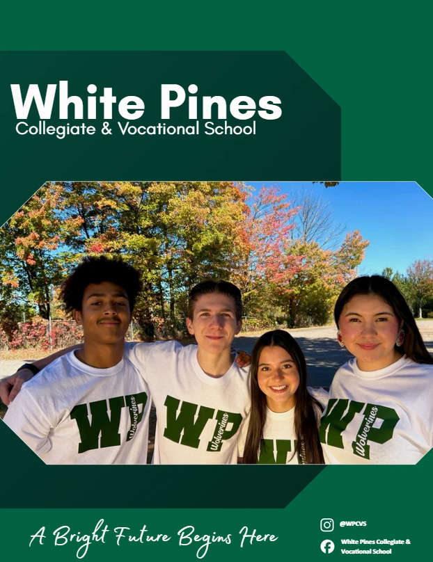 WP Flip Book for 2026